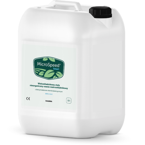 MicroSpeed® Smart