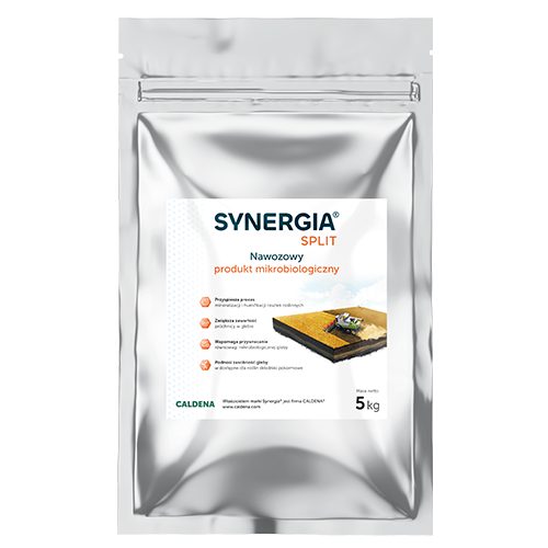 Synergia® Split